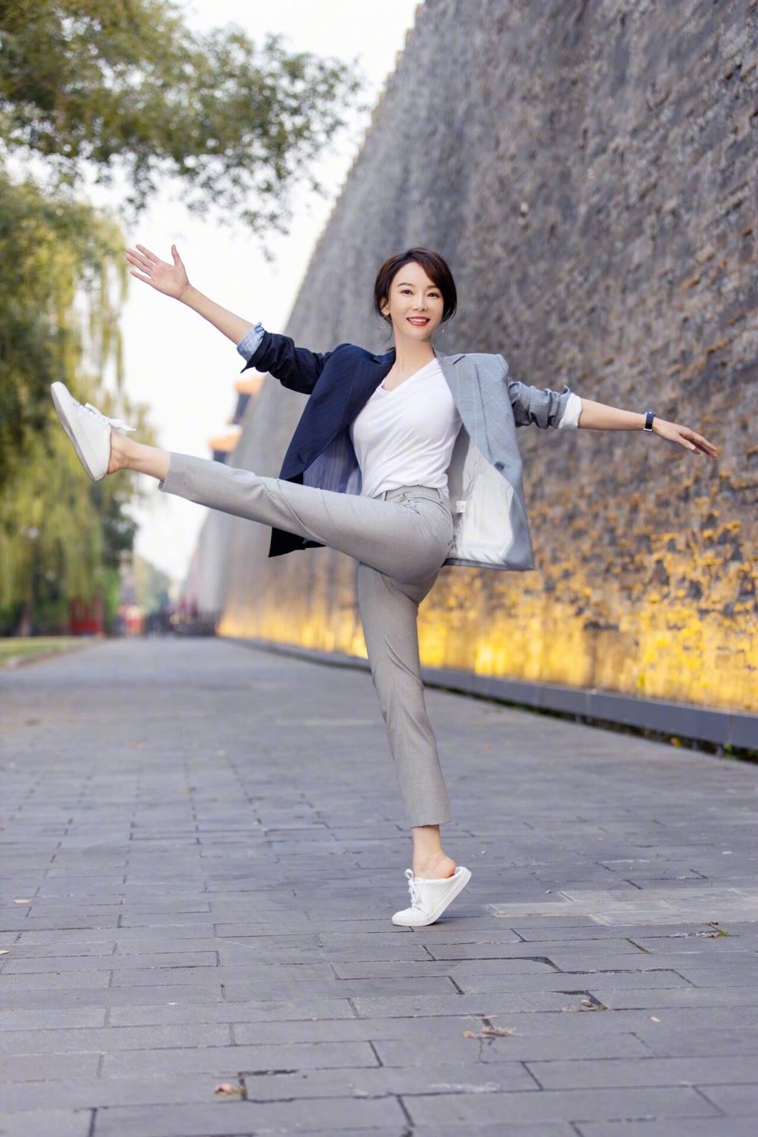 事业有成——陈数个人资料简介