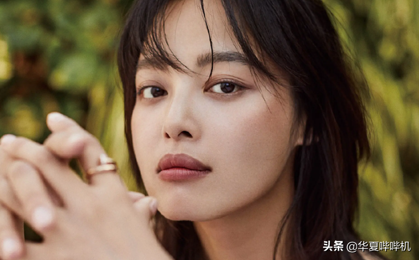 辛芷蕾进圈17年，她追求的到底是什么？