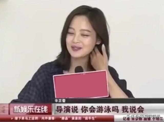 辛芷蕾进圈17年，她追求的到底是什么？