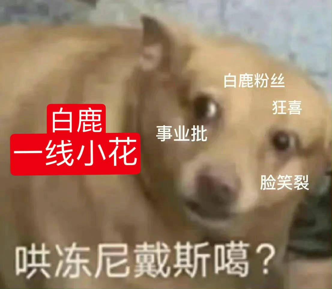 白鹿算不算一线？网友吵翻了，于正显摆：营销号公认的