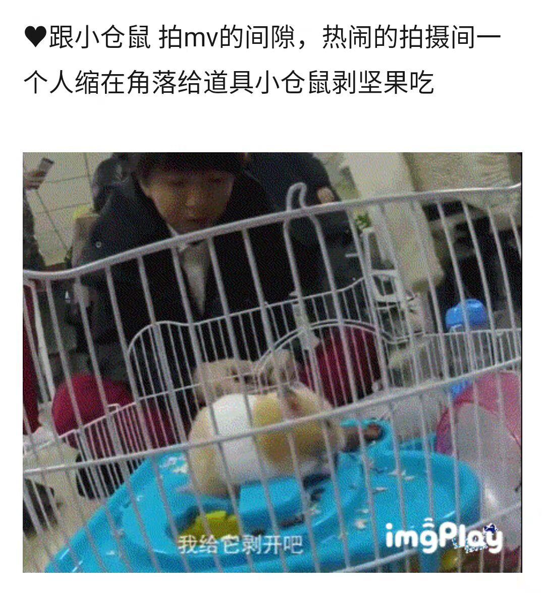 王俊凯超童真暖心举动，会把小熊玩偶、小仓鼠、小海龟当作好朋友