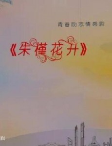 朱槿花开