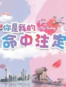 你是我的命中注定